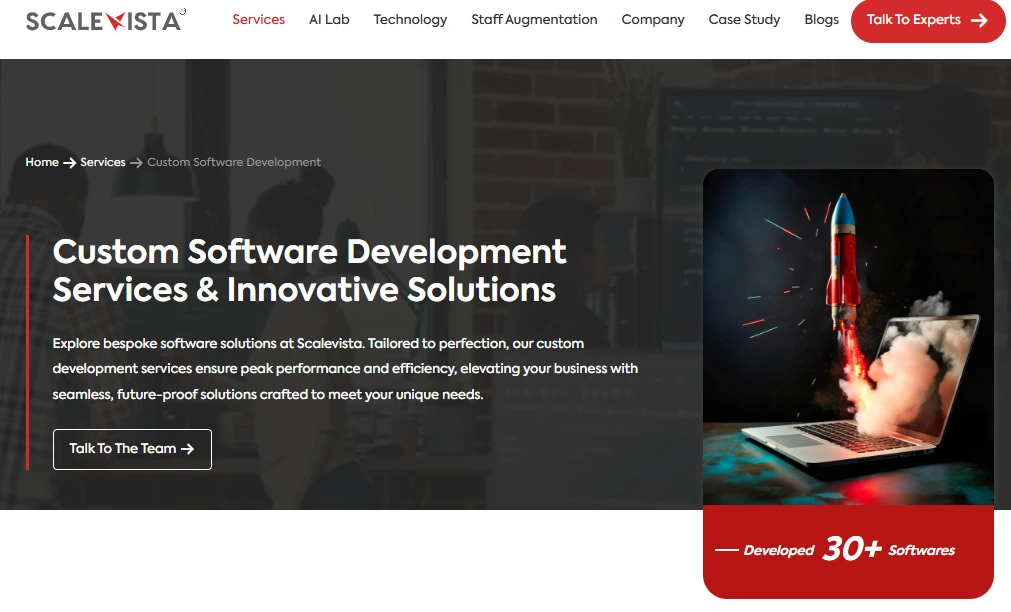 Scalevista- Custom software development company