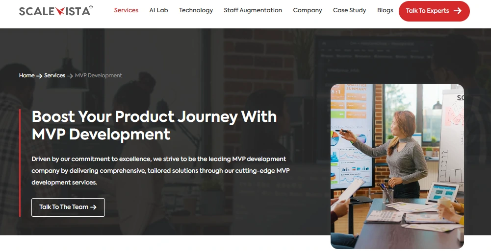 Scalevista - Leading Custom Software Development Company USA