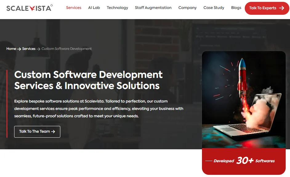 Custom Software Development Services-Scalevista