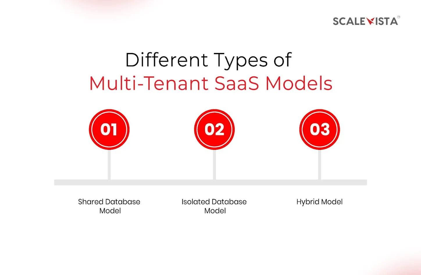Different Types of Multi-Tenant SaaS Models