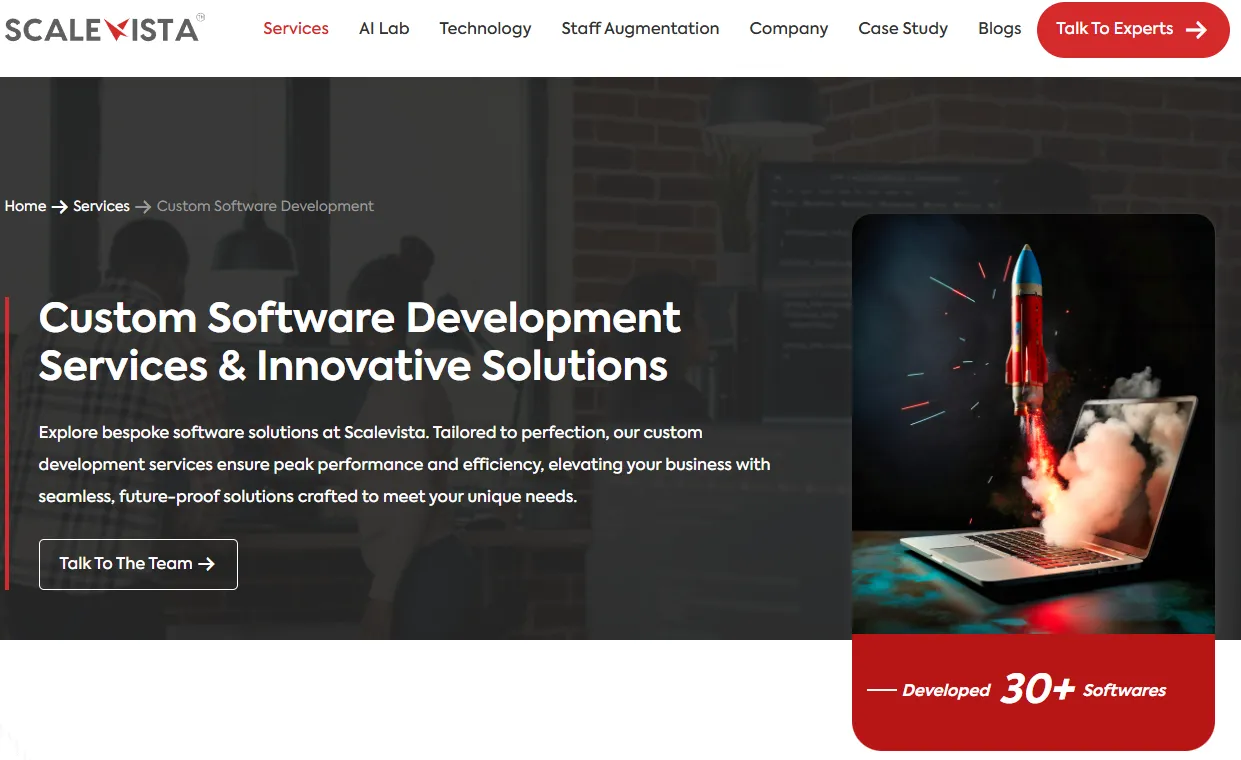 Scalevista Technologies- Custom Software Development Service Company