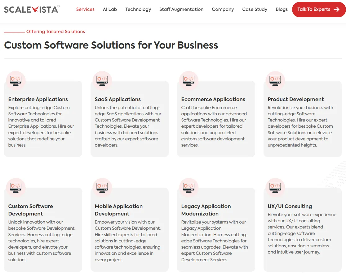 Scalevista's Custom Software Solution For Your Business