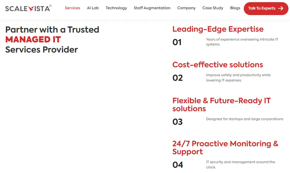 Managed IT Service Provider Scalevista